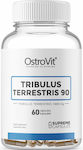 OstroVit Tribulus Terrestris 90 1000mg 60 capace 34219