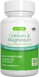 iGennus Calcium & Magnesium 60 κάψουλες iGennus Calcium & Magnesium 60 κάψουλες