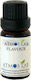 Atmoslab Flavour Bavarian Cream 10ml 1pcs
