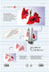 Olympia Din A3 80 Micron Laminating Sheets A3 80 Micron 25 Pieces