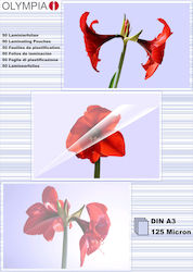 Olympia Foi de Laminare Din A3 125 Micron A3 125 microni 50buc