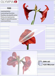 Olympia Din A5 125 Micron Foi De Laminare 125 Microni Olympia Din A5 125 Micron Foi De Laminare 125 Microni