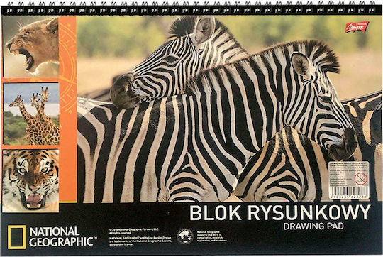 XMASfest Drawing Pad 84-279 10pcs