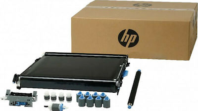 HP Transferband für HP (CE516A)