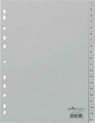 Durable Plastic Dividers for Documents A4 with Holes 20pcs 6522