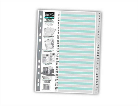 Skag Plastic Dividers for Documents A4 with Holes 31pcs