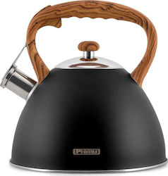 Promis Stainless Steel Boiler 3000ml