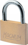 CAD50 Steel Padlock Brass with Key 50mm 1pcs