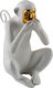 Zen Collection Decorative Monkey made of Plastic Monkey 1pcs