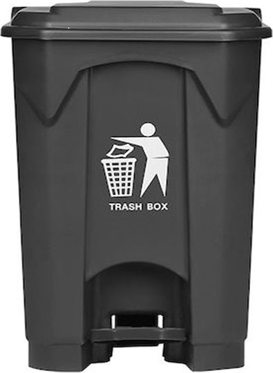 Delta Cleaning Plastic Waste Bin 45lt with Pedal Gray