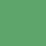 Canson Carton Canson Colorline Față și spate Verde Strălucitor 220gr 50x70cm 105741029
