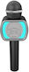 iDance Microfon Karaoke Wireless Party Mic PM-20 Negru