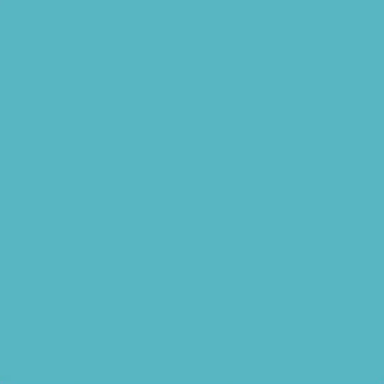 Canson Colorline Blue 105741025
