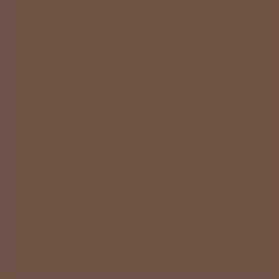 Canson Canson Cardboard Colorline Double Sided Brown Nut 50x70cm