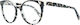 Web Rame Ochelari Pentru Femei Acetat Fluture Maro Tortoise WE5227 055