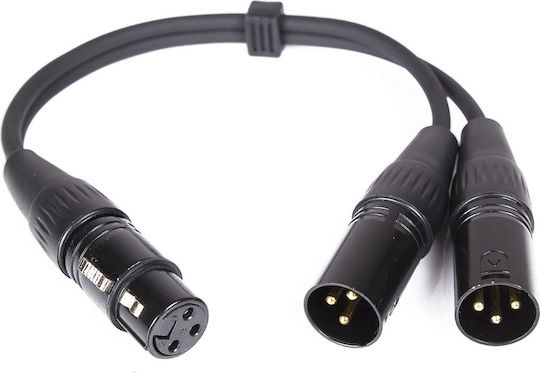 Master Audio XLR male to XLR female 0.3m Cable (CY099)