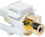 LogiLink Converter RCA female to RCA female White 1pcs (NK0022)