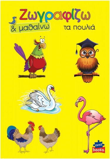 Книга за оцветяване Рисувам & Уча Птиците 19179------3