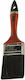 Zita Brush Paint Brush Straight 17mm 1pcs Serie...