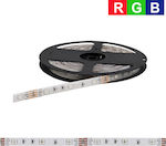 Power Led 2RLS144RGB2024 LED Strip Power Supply 24V RGB Length 5m and 60 LEDs per Meter SMD5050