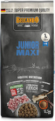 Belcando Junior Maxi 12.5kg