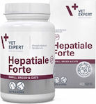 VetExpert Hepatiale Forte Tablets for Dogs Small Breeds & Cats Συμπλήρωμα Διατροφής 40 Κάψουλες 40caps