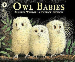 OWL BABIES Paperback