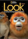 Look Starter Anthology