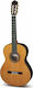Cuenca Klassisch Gitarre 4/4 50-R Natürlich