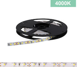 Power Led Ταινία LED 2RLS48452024 24V Φυσικό Λευκό 5m Power Led Ταινία LED 2RLS48452024 24V Φυσικό Λευκό 5m