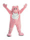 Carnival Costume Mascot Pig