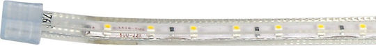 Power Led Ταινία LED 2RLS23062754 220V Θερμό Λευκό Φως 1m Τύπου SMD2835