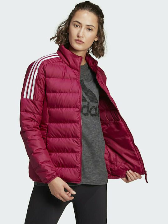 Adidas Essentials Down Κοντό Γυναικείο Puffer Μπουφάν Αδιάβροχο για Χειμώνα Power Berry