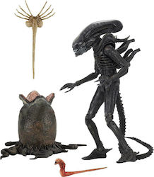 Neca Alien: Big Chap (Alien 40th Anniversary) Neca Alien: Big Chap (Alien 40th Anniversary)
