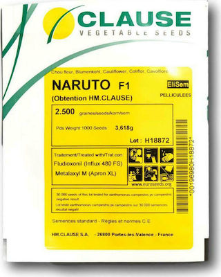 Cauliflower Naruto F1 | lenses 2500 seeds