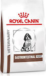 Royal Canin Veterinary Gastrointestinal Puppy 10kg Ξηρά Τροφή για Κουτάβια με Πουλερικά και Ρύζι