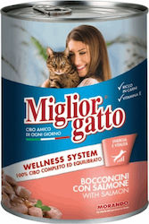 Morando Miglior Gatto Wellness 405gr Morando Miglior Gatto Wellness 405gr