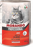 Morando Professional Wet Food for Adult Cats In Can with Salmon Πατέ 1pc 400gr