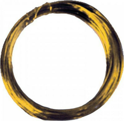 Σύρμα για Κοσμήματα Inox Χρυσό 0.32mmx20m