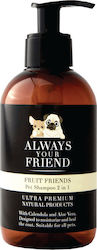 Always Your Friend Fruit Friends 250ml