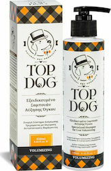 Top Dog Volume Boost Shampoo Dog