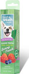 Tropiclean Fresh Breath Clean Teeth Oral Care Gel Zahnpflege Gel Hund gegen Mundgeruch mit Geschmack Beeren 59gr 822323