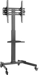LTC Audio TV Cart Βάση Τηλεόρασης Δαπέδου έως 55