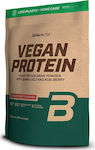 Biotech USA Vegan Protein Ohne Gluten & Laktose mit Geschmack Waldfrüchte 500gr
