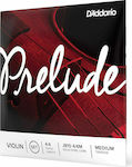 Daddario Prelude - 4/4, Medium Tension,