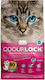 Intersand Odourlock Bentonit Katzenstreu mit Du...