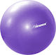 Pegasus Mini Ball Pilates 25cm 0.19kg in Lila F...