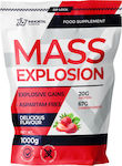 Immortal Nutrition Mass Explosion Protein Strawberry 1kg