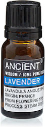 Ancient Wisdom Ulei Esențial Lavanda 10ml Ancient Wisdom Ulei Esențial Lavanda 10ml