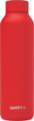 Quokka Solid Bottle Thermos Stainless Steel BPA...